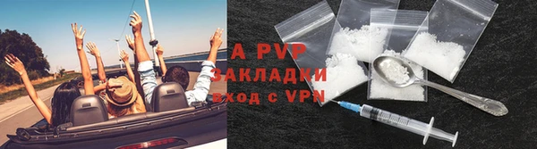 PSILOCYBIN Балахна