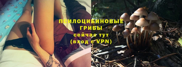 МДМА Осташков
