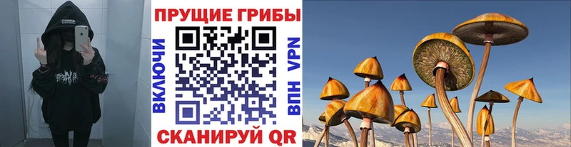 blacksprut рабочий сайт  Юрга  Галлюциногенные грибы Magic Shrooms 